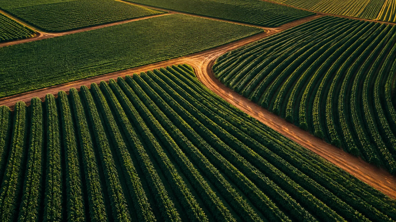Vista aérea de campos agrícolas em escala