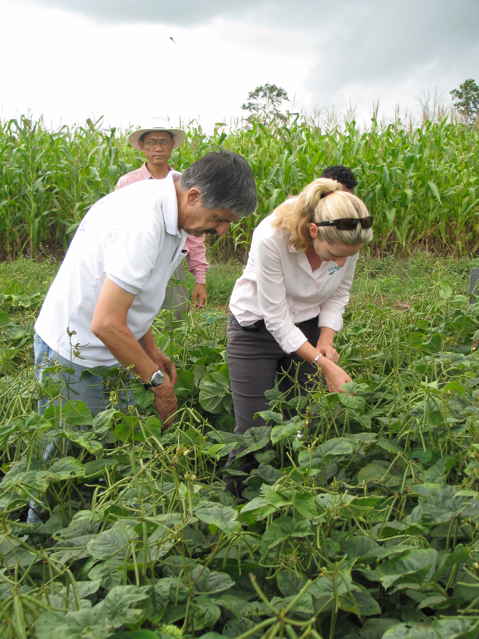 Bob Martin e Stephanie Belfield examinando plantas com produtores no Camboja, em 2010
